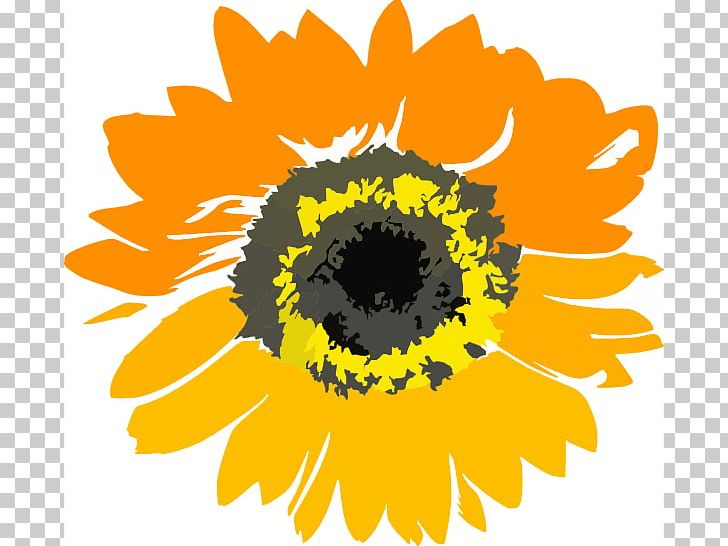 Common Sunflower Sunflower Educare Center PNG, Clipart, Black And White, Border, Center, Circle, Clip Art Free PNG Download