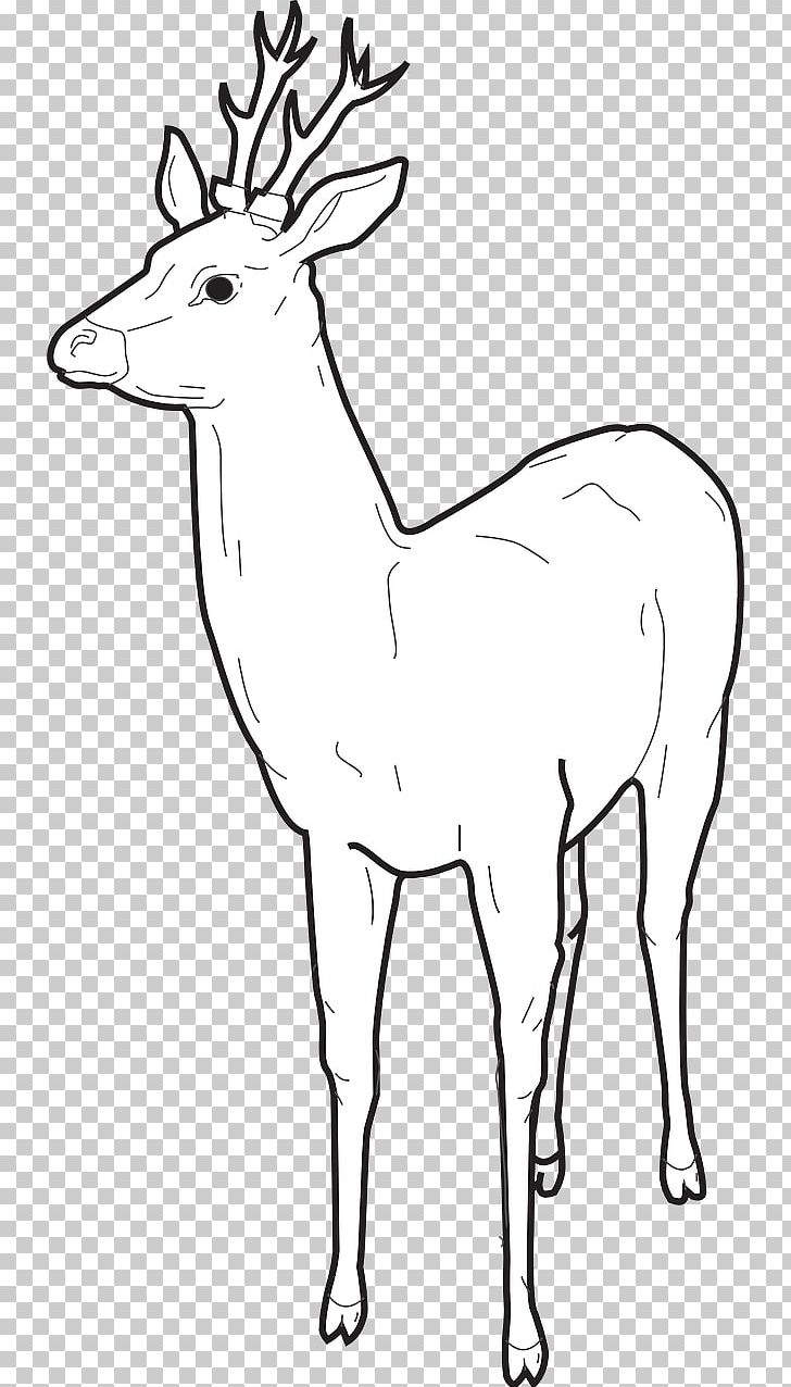 Elk Reindeer Coloring Book Drawing PNG, Clipart, Animal, Animals, Antler, Black And White, Christmas Day Free PNG Download
