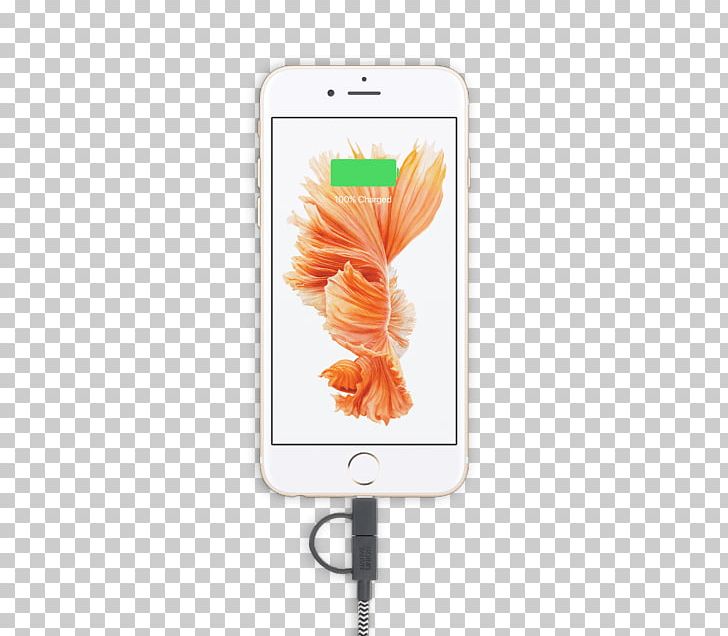 IPhone 5 IPhone 6s Plus IPhone 8 OnePlus 5T IPhone 6 Plus PNG, Clipart, Apple, Apple Iphone 5, Apple Iphone 5 S, Electronic Device, Flower Free PNG Download