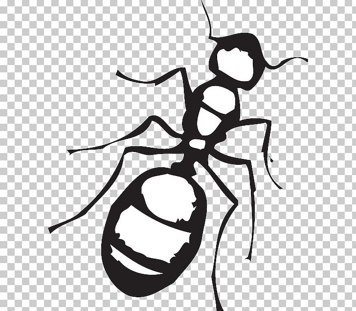 Ant Black And White PNG, Clipart, Ant, Ant Line, Art, Artwork, Black And White Free PNG Download