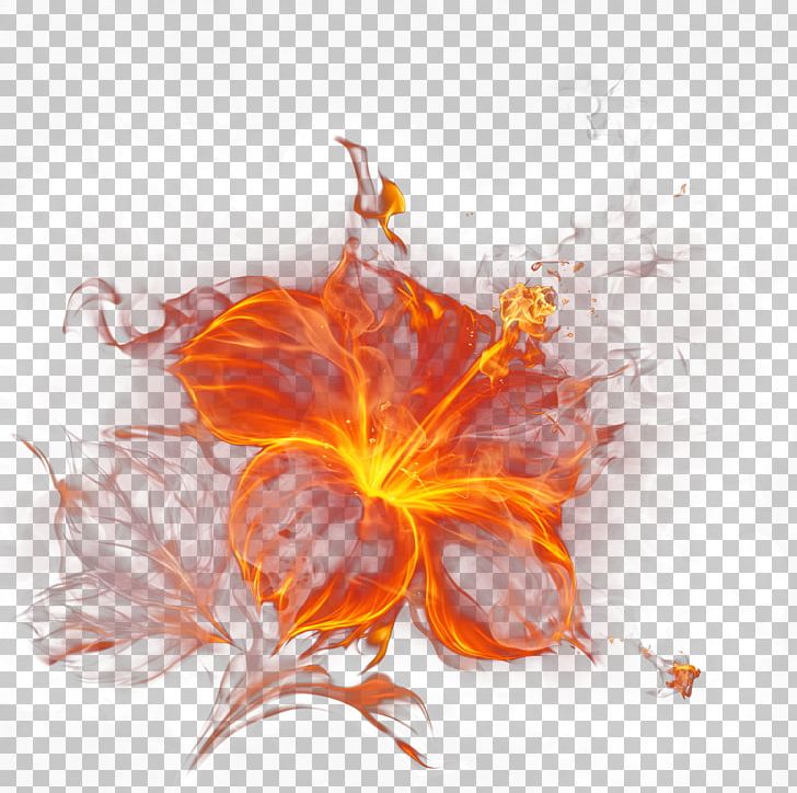 Flame Light Fire Smoke PNG, Clipart, Balloon, Blooming, Computer Wallpaper, Desktop Wallpaper, Effect Free PNG Download