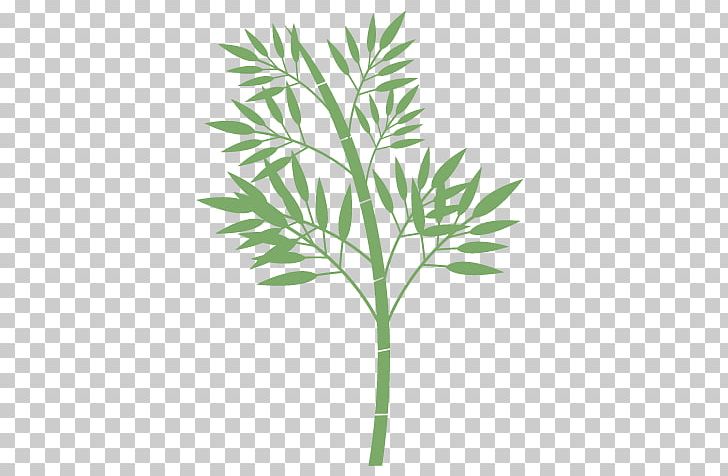 Qixi Festival Tropical Woody Bamboos PNG, Clipart, Arecaceae, Arecales, Branch, Collage, Festival Free PNG Download