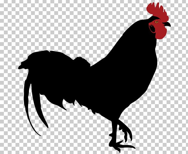 Rooster Silhouette Drawing PNG, Clipart, Animals, Art, Beak, Bird, Black And White Free PNG Download
