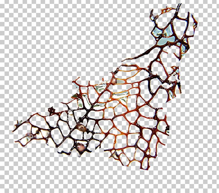 Vein PNG, Clipart, Area, Art, Artwork, Branch, Data Free PNG Download