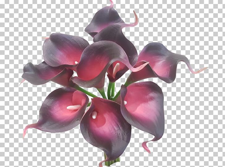 Arum-lily Flower Bouquet Artificial Flower Plant PNG, Clipart, Artificial Flower, Arumlily, Callalily, Calla Lily, Cut Flowers Free PNG Download