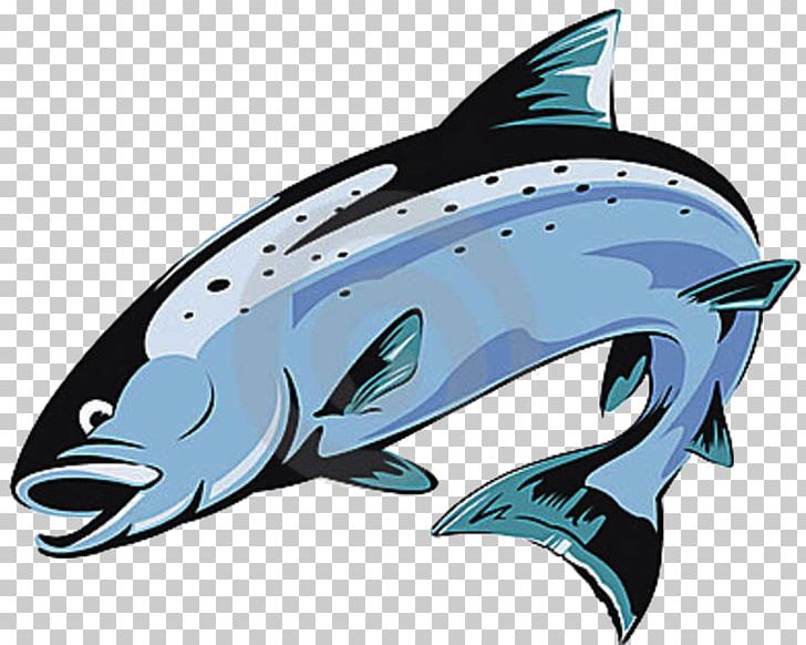 Chinook Salmon Trout Atlantic Salmon PNG, Clipart, Atlantic Salmon, Auto, Cartilaginous Fish, Chinook Salmon, Dolphin Free PNG Download