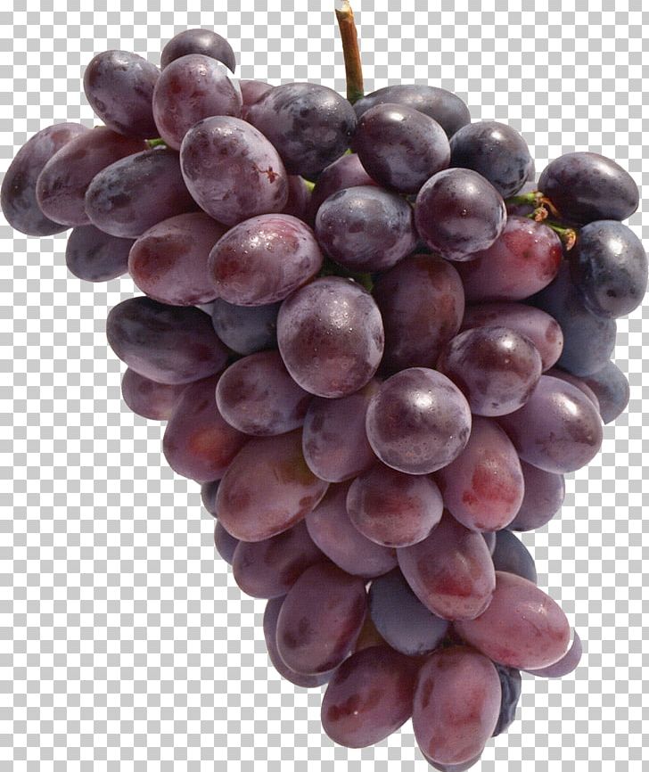 Common Grape Vine Food PNG, Clipart, Amazon Grape, Common Grape Vine, Desktop Wallpaper, Food, Fruit Free PNG Download