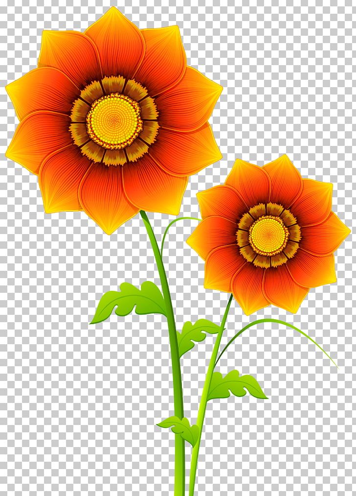 Flower Yellow PNG, Clipart, Chrysanthemum, Clip Art, Color, Common Sunflower, Cut Flowers Free PNG Download