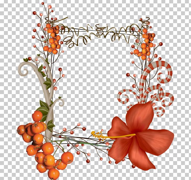 Web Browser Lossless Compression PNG, Clipart, Border, Branch, Cut Flowers, Data, Data Compression Free PNG Download