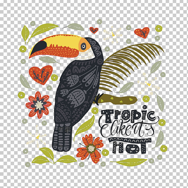 Bird Toucan Hornbill Piciformes Beak PNG, Clipart, Beak, Bird, Coraciiformes, Hornbill, Piciformes Free PNG Download