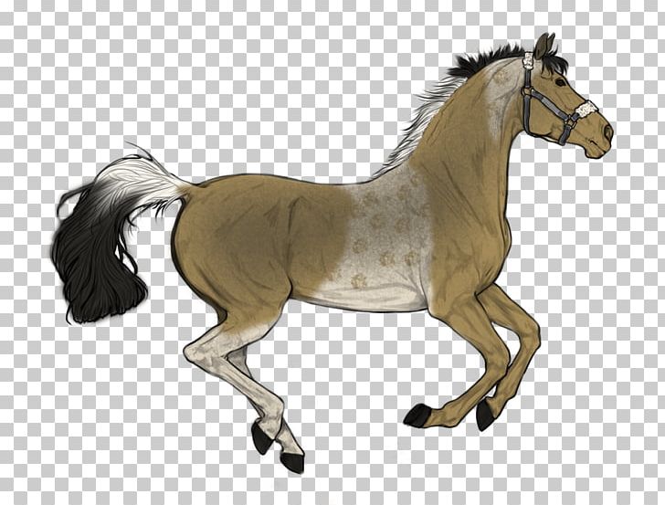 Stallion Trakehner Foal Mare Akhal-Teke PNG, Clipart, Akhalteke, Animal Figure, Bridle, Colt, Foal Free PNG Download