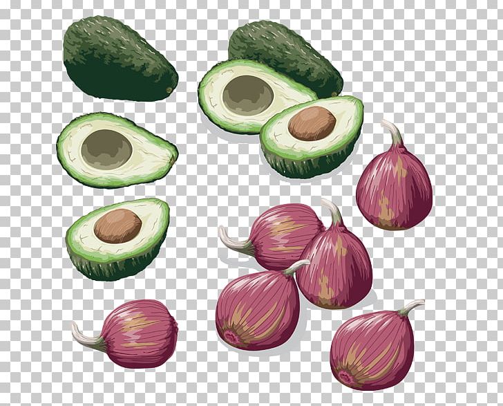 Avocado Onion Vegetable PNG, Clipart, Avocado, Celery, Commodity, Food, Fruit Free PNG Download