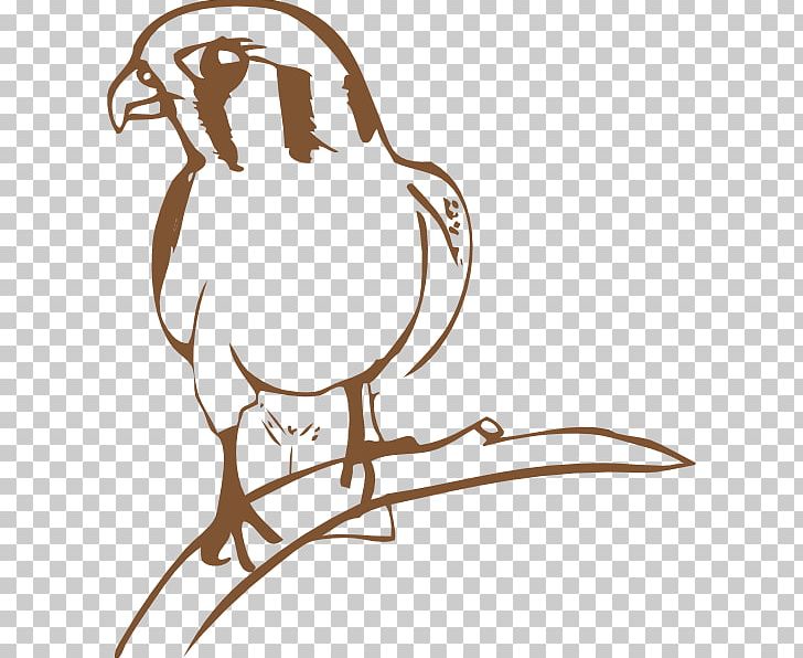 Bird August Acrobat PNG, Clipart, Animal, Art, Artwork, Beak, Bird Free PNG Download