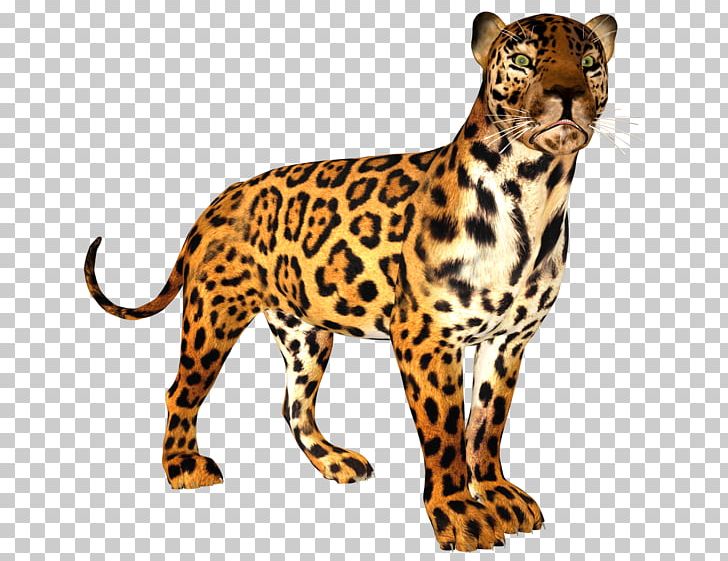 Leopard Cheetah Jaguar Ocelot Tiger PNG, Clipart, Animals, Big Cats, Blog, Carnivoran, Cat Like Mammal Free PNG Download