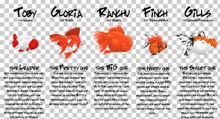 Ryukin Oranda Ranchu Common Goldfish Koi PNG, Clipart, Advertising, Animals, Aquarium, Brand, Carassius Auratus Free PNG Download