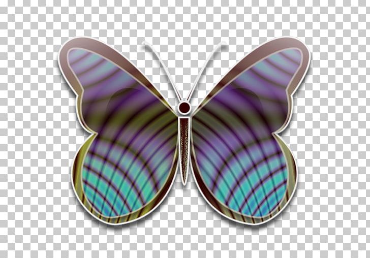 Butterfly Computer Icons PNG, Clipart, Avatar, Beautiful Butterfly, Blog, Butterfly, Chrysiridia Rhipheus Free PNG Download
