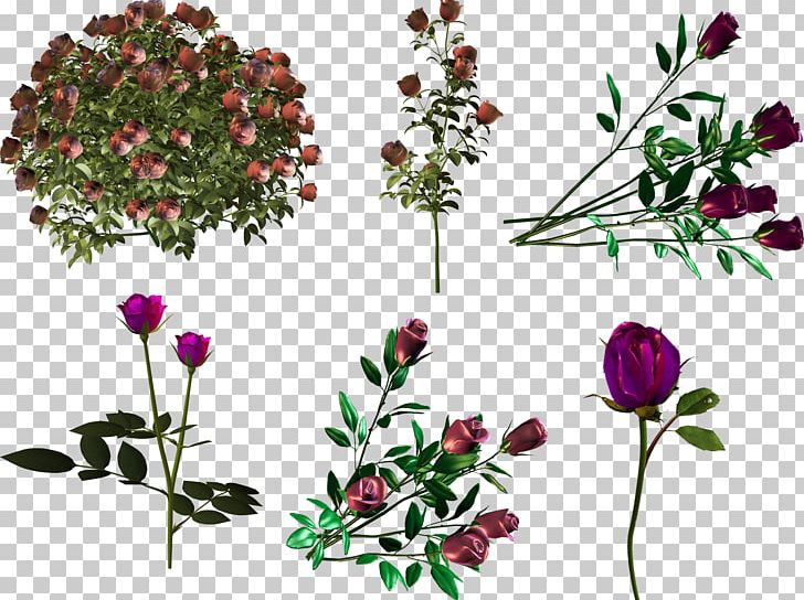 Floral Design Pink Flower Garden Roses Wreath PNG, Clipart, Beach Rose, Branch, Chrysanthemum, Cut Flowers, Flora Free PNG Download
