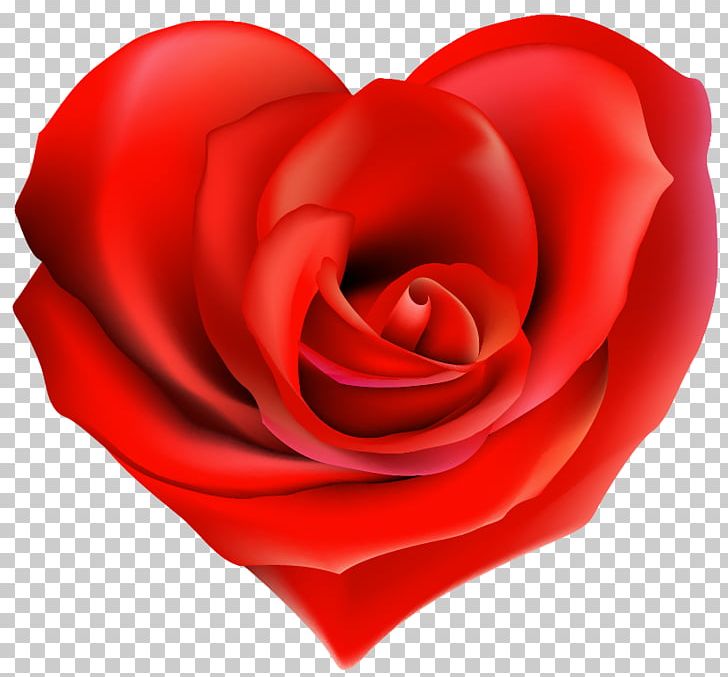 Garden Roses Heart Valentine's Day PNG, Clipart, Closeup, Cut Flowers, Desktop Wallpaper, Flower, Flowering Plant Free PNG Download