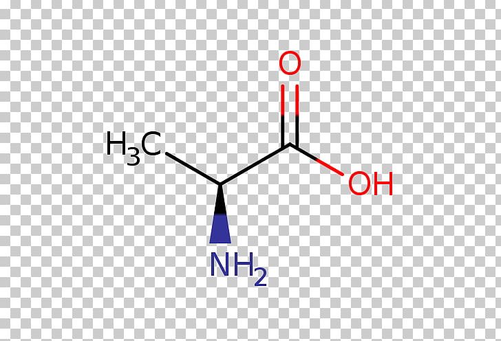 Lactic Acid Alanine Butyric Acid Amino Acid PNG, Clipart, Acid, Acrylic Acid, Alanine, Amino Acid, Angle Free PNG Download