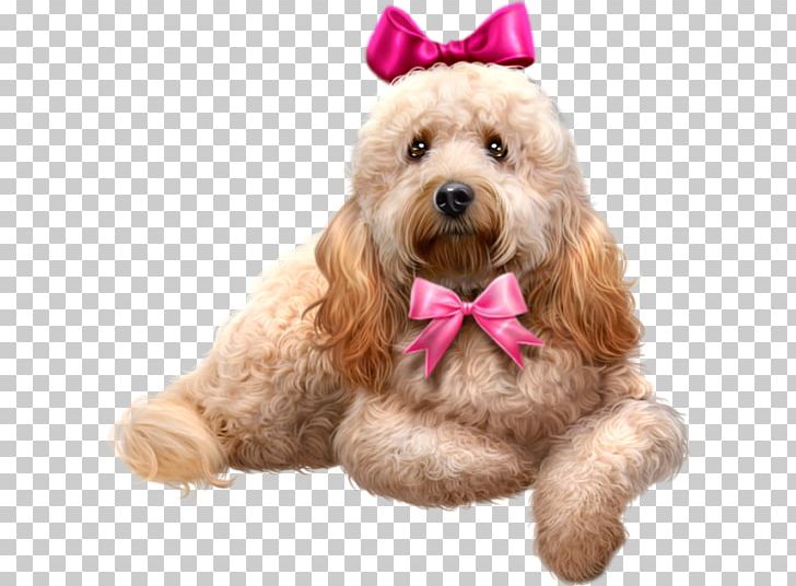 Poodle PNG, Clipart, Animal, Bow, Bow Tie, Carnivoran, Cavapoo Free PNG Download