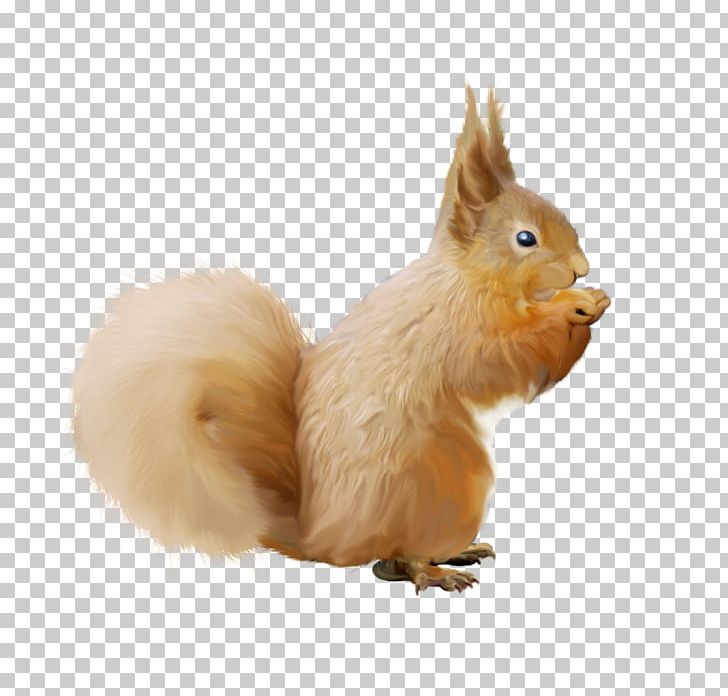 Tree Squirrel Animal PNG, Clipart, Animal, Animal Figure, Drawing, Fauna, Fox Squirrel Free PNG Download