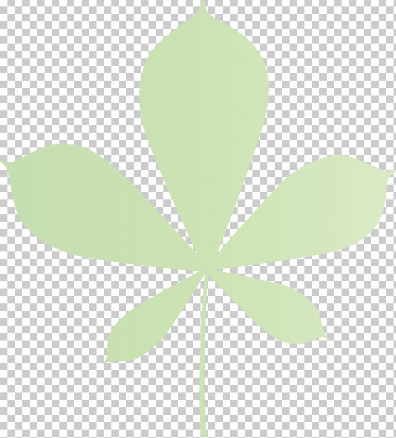 Shamrock PNG, Clipart, Autumn Color, Autumn Leaf, Biology, Green, Leaf Free PNG Download