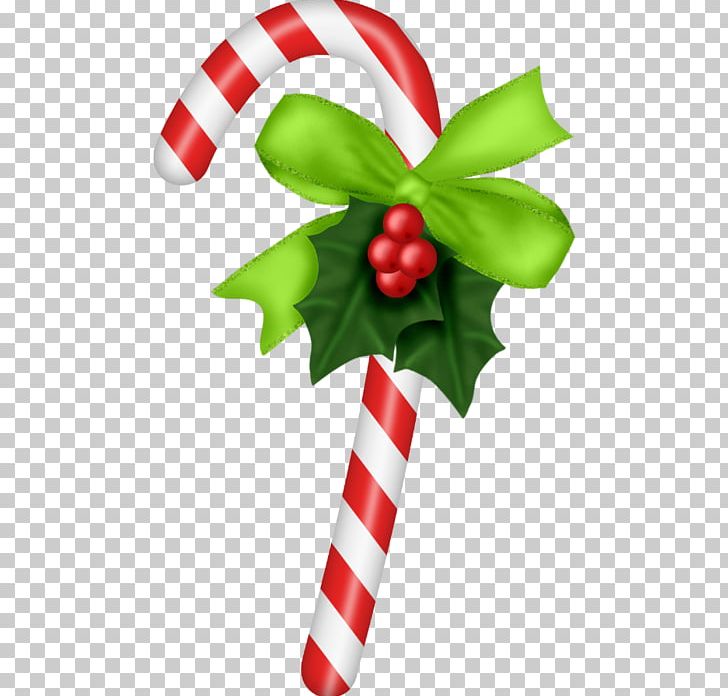 Candy Cane Christmas Ornament Stick Candy PNG, Clipart, 2014, Aquifoliaceae, Aquifoliales, Bastone, Candy Cane Free PNG Download