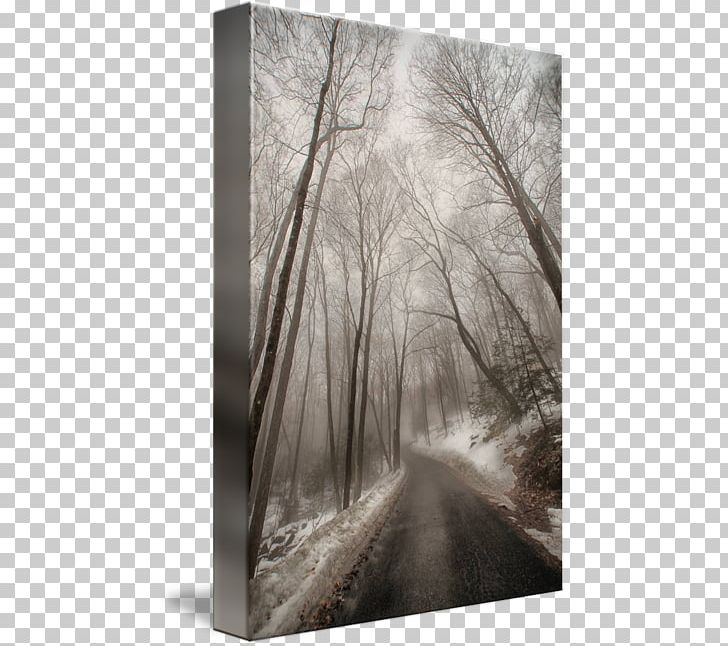 Gallery Wrap Canvas The Road To Winter Wood PNG, Clipart, Art, Black And White, Branch, Canvas, Fog Free PNG Download