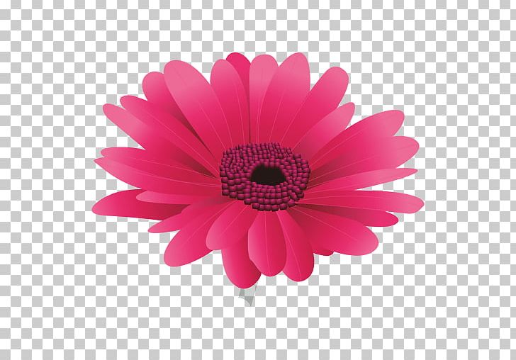 Cut Flowers Maroon PNG, Clipart, Chrysanths, Cut Flowers, Daisy Family, Encapsulated Postscript, Floral Design Free PNG Download