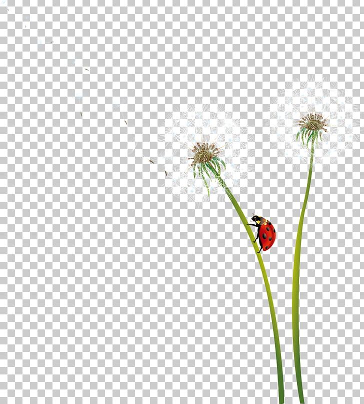 Dandelion Icon PNG, Clipart, Air, Breath, Computer, Computer Wallpaper, Dig Free PNG Download