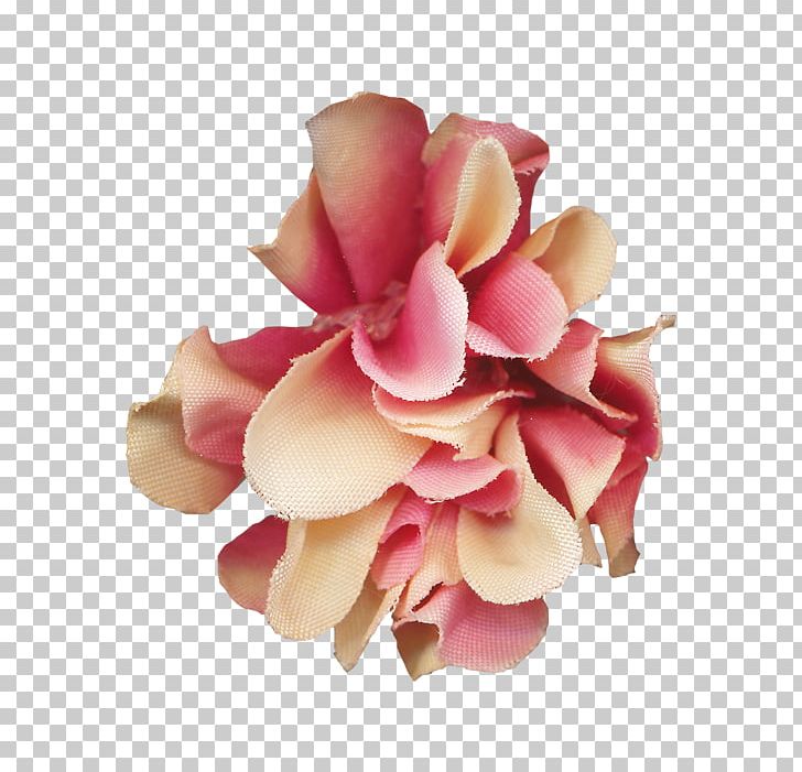 Flower Pink PNG, Clipart, Computer Icons, Cut Flowers, Download, Encapsulated Postscript, Flower Free PNG Download