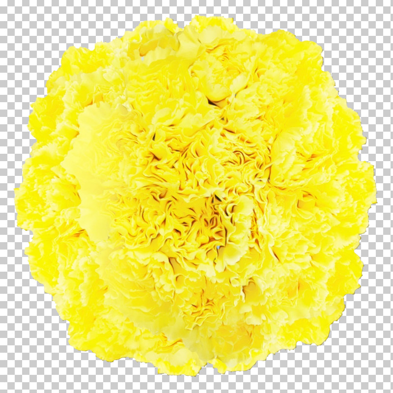 Cut Flowers Yellow Petal Flower PNG, Clipart, Cut Flowers, Flower, Paint, Petal, Watercolor Free PNG Download