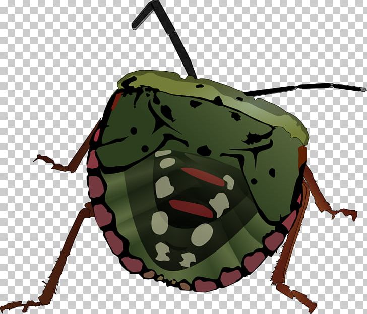 Beetle PNG, Clipart, Animals, Bag, Beetle, Computer Icons, Download Free PNG Download
