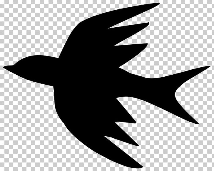Bird Drawing Silhouette Photography PNG, Clipart, Animals, Beak, Bird, Black And White, Drawing Free PNG Download