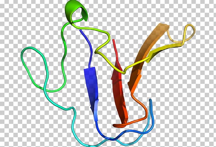 Organism PNG, Clipart, 9 V, Area, Art, Artwork, D 1 Free PNG Download