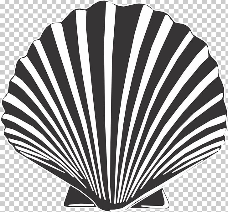 Sharjah PNG, Clipart, Black And White, Business, Charitable Organization, Computer Icons, Decorative Fan Free PNG Download