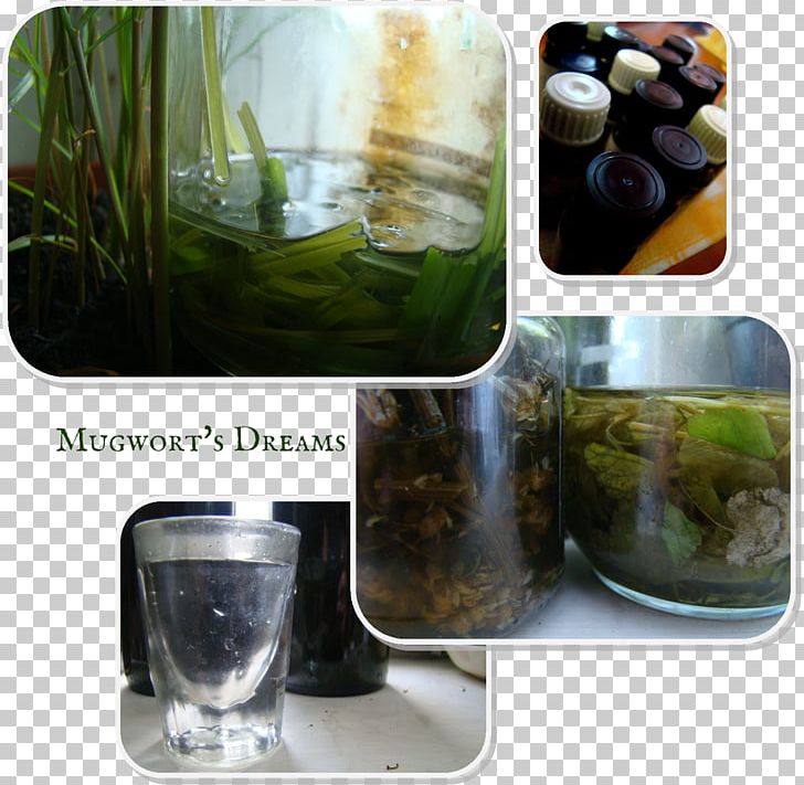 Herbal Tea Tincture Medicinal Plants Herbalism PNG, Clipart, Bottle, Catnip, Common Wormwood, Essential Oil, Essential Oil Bottle Free PNG Download