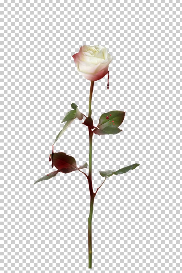 Stock Photography Rose Fotosearch PNG, Clipart, Artificial Flower, Branch, Bud, Cut Flowers, Flower Free PNG Download