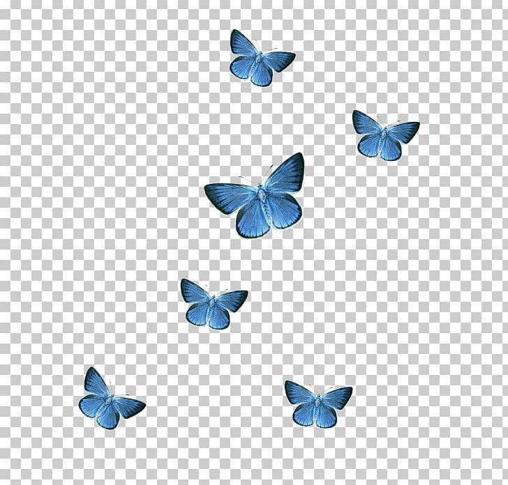 Butterfly Sticker PNG, Clipart, Animal, Blue, Butterflies And Moths, Butterfly, Download Free PNG Download