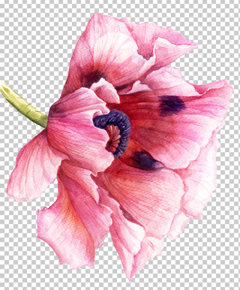 Watercolor Painting Drawing Painting Poppy Sculpture PNG, Clipart, Cartoon, Drawing, Flower, Painting, Poppy Free PNG Download