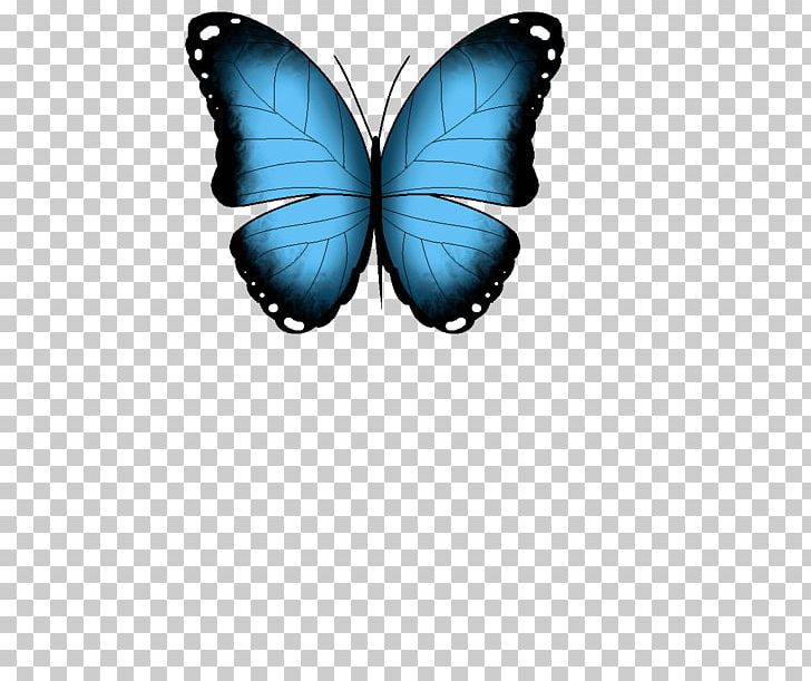 Brush-footed Butterflies Butterfly GIF Menelaus Blue Morpho PNG, Clipart, Animation, Brush Footed Butterfly, Butterflies And Moths, Butterfly, Insect Free PNG Download