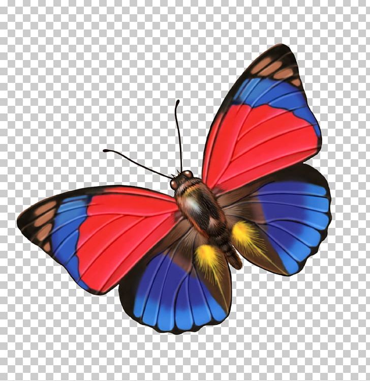 Brush Footed Butterfly Butterfly Group Insects PNG, Clipart, Animation, Arthropod, Blue Butterfly, Brush Footed Butterfly, Butterflies Free PNG Download