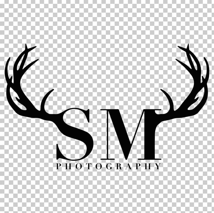 Decal United States Photography Logo PNG, Clipart, Antler, Black And White, Blanket, Brand, Calligraphy Free PNG Download