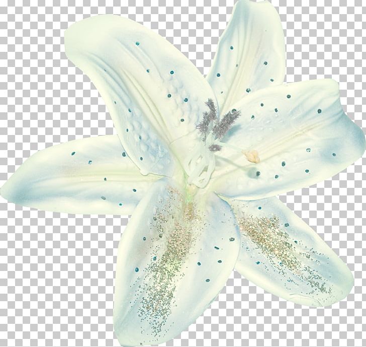 Flower Petal Blog Naver PNG, Clipart, Blog, Daum, Flower, Fruit Nut, Lilium Stargazer Free PNG Download