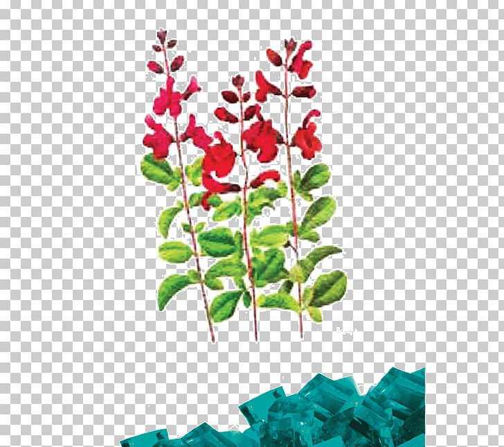 Jelly Pedi Spa Pedicure Petal Information PNG, Clipart, Branch, Flora, Flower, Flowering Plant, Flowerpot Free PNG Download