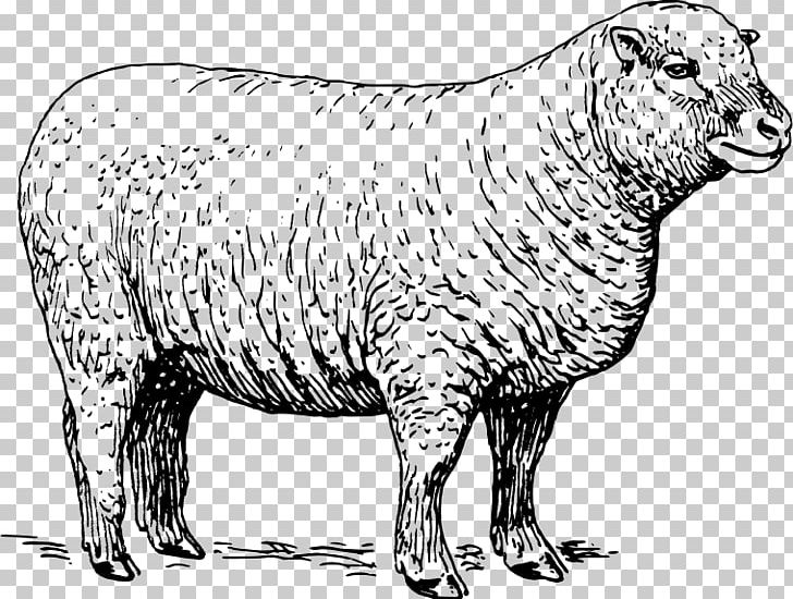 Sheep Lamb And Mutton PNG, Clipart, Animal Figure, Animals, Black And White, Black Sheep, Carnivoran Free PNG Download