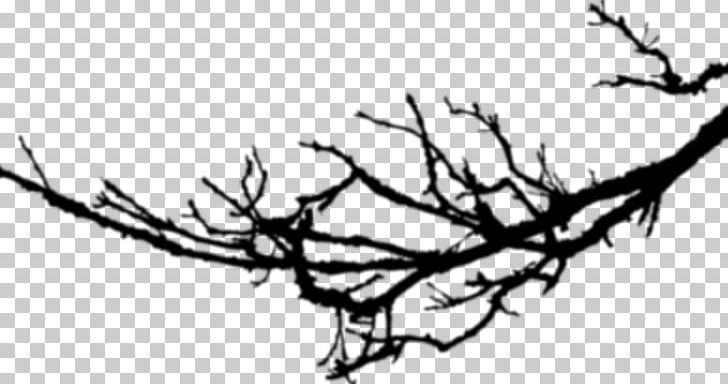 Twig Branch Line Art Leaf PNG, Clipart, Antler, Art, Artwork, Black And White, Branch Free PNG Download