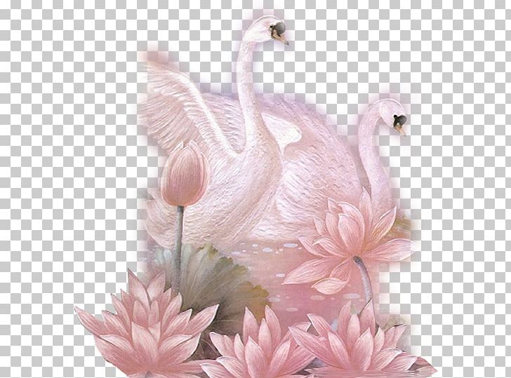 Bird Red Fox Black Swan Animation PNG, Clipart, Animal, Beak, Bird, Blingee, Blooming Free PNG Download