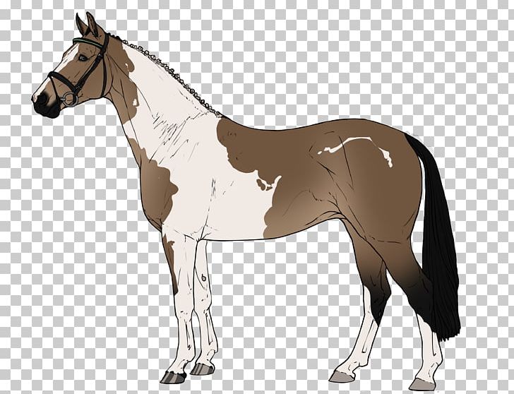 Foal Horse Stallion Mane Rein PNG, Clipart, Bit, Bridle, Canter And Gallop, Colt, Equestrian Free PNG Download