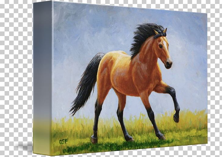 Mustang Mane Stallion Foal Mare PNG, Clipart, Art, Bridle, Buckskin, Fauna, Foal Free PNG Download